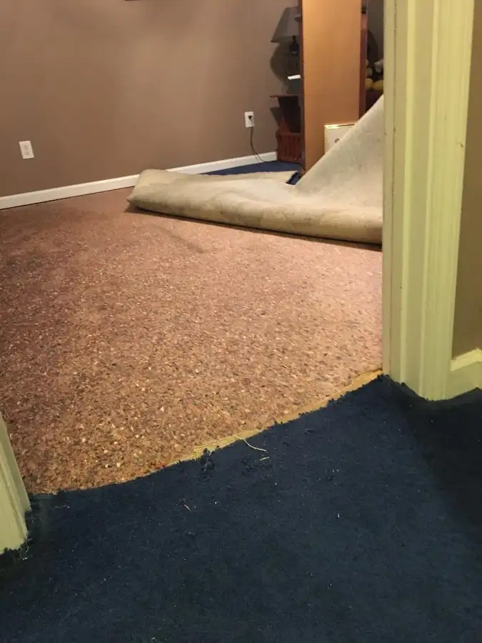 Carpet pad removal revealing water damage during Drying & Dehumidification in West Haven